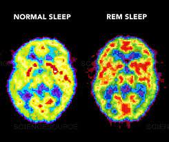 el universo de los sueños